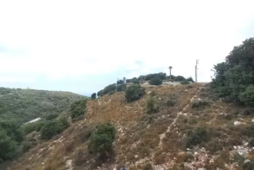 Land Ready Property Mixed Use Land  for sale in Byblos , Byblos #44780 - 1  image 