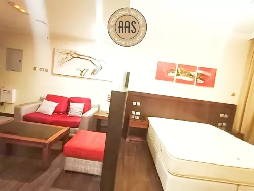 Residential Ready Property Studio F/F Apartment  for rent in Al Nahdah St , Abu Dhabi #46107 - 1  image 