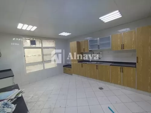 Residential Ready Property 5 Bedrooms U/F Standalone Villa  for rent in Abu Dhabi #50540 - 1  image 