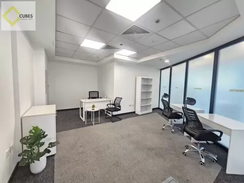 Commercial Ready Property F/F Office  for rent in Abu Dhabi #52820 - 1  image 