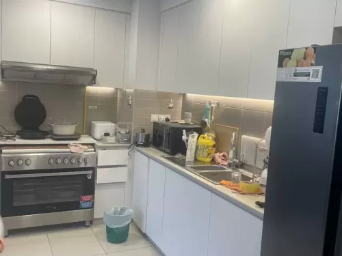 Residential Ready Property 2 Bedrooms F/F Apartment  for rent in Dubai #55313 - 1  image 