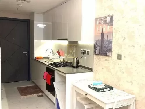Residential Ready Property Studio F/F Apartment  for rent in Dubai #56412 - 1  image 