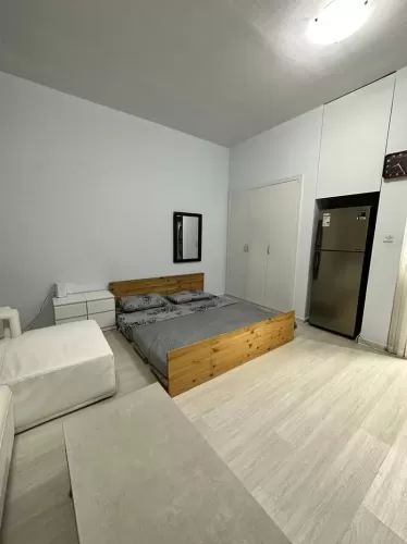 Residential Ready Property Studio F/F Apartment  for rent in Dubai #57507 - 1  image 