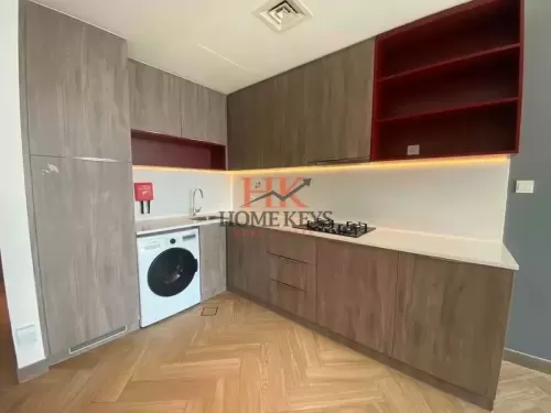 Residential Ready Property 1 Bedroom U/F Apartment  for rent in Dubai #57883 - 1  image 