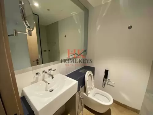 Residential Ready Property Studio F/F Apartment  for rent in Dubai #57885 - 1  image 