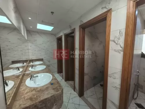 Residential Ready Property 2 Bedrooms U/F Apartment  for rent in Dubai #58062 - 1  image 